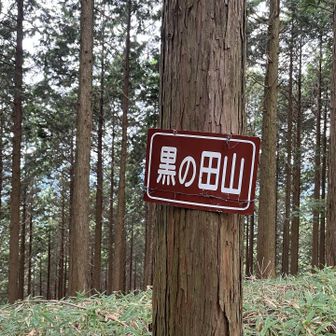 眺望無し