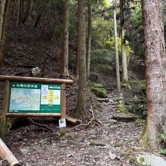 数年前、古処山に来た時はここから登りましたが、屛山までがすごく長く感じました。
ゆる登山者だったしね😆

今回は馬見山まで行って帰ってくるけど、大丈夫かな😆