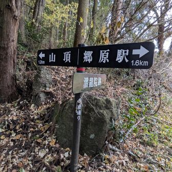 よーし登り登り！