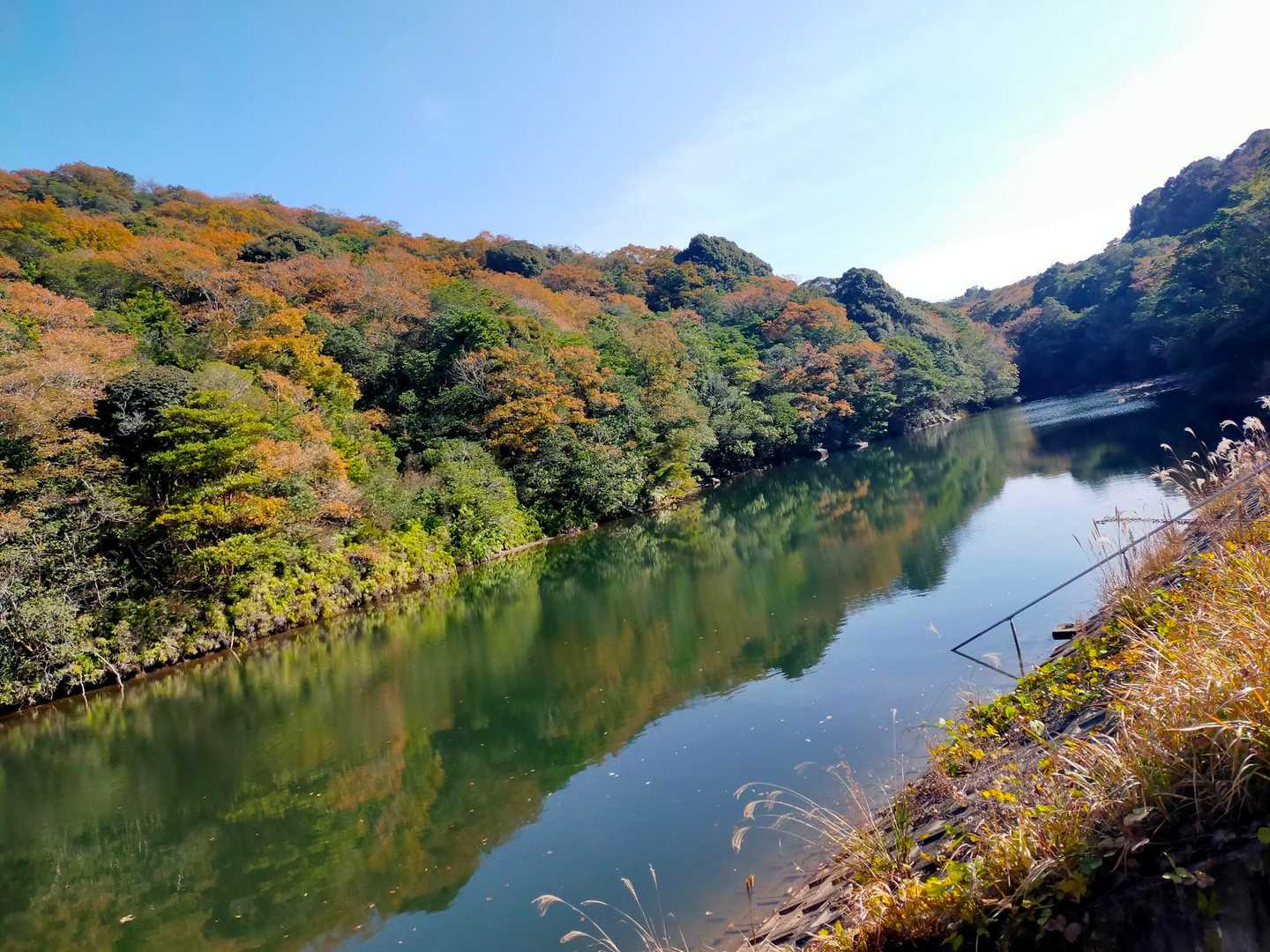 観音岳-白岩山 周回コースの写真