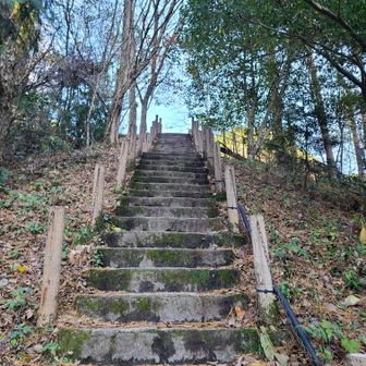 駐車場までの急階段😱
最後の最後でつるかっ、って所で足つってしまいました😱
お疲れ⛰️m(._.)m
