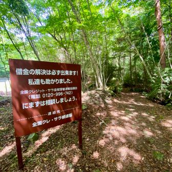 青木ヶ原樹海の「思いとどまれ」というシュールな看板