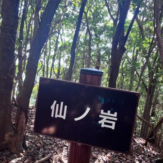 更に少し進むと仙ノ岩