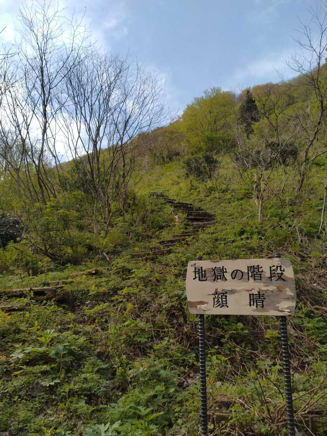 実はコレを登ってみたくて来た😆
登山口からすぐ始まるワクワクの地獄の階段