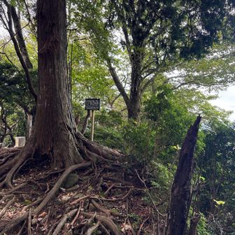 最後の山頂へ🚶🏻