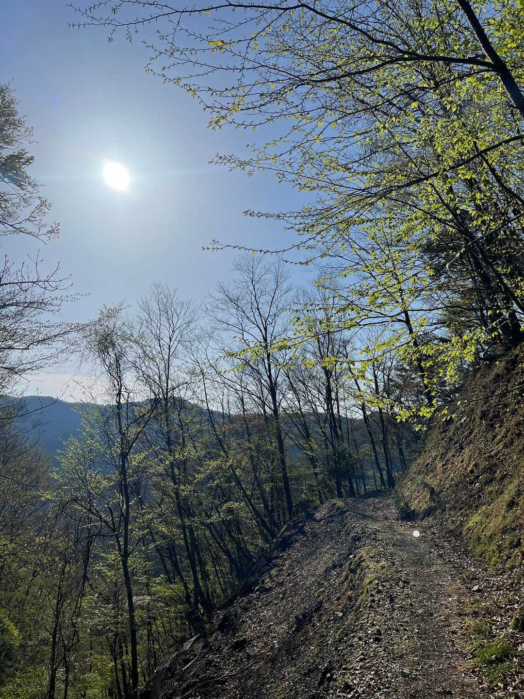 大股登山口-桧峠 往復コースの写真