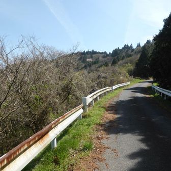 発心山へ向けて少し車道歩き