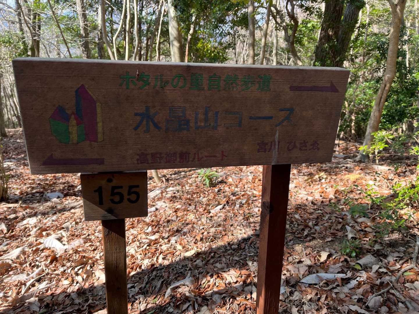 此処から水晶山コースですね！