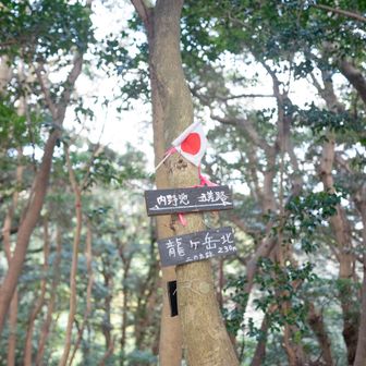 祝日？と思ったけど年末だからかな