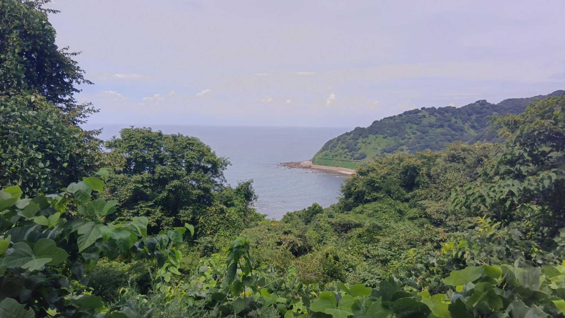 池ノ台-荒倉山 往復コースの写真