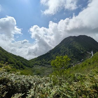 降りてきた妙高山。くそー晴れやがって！