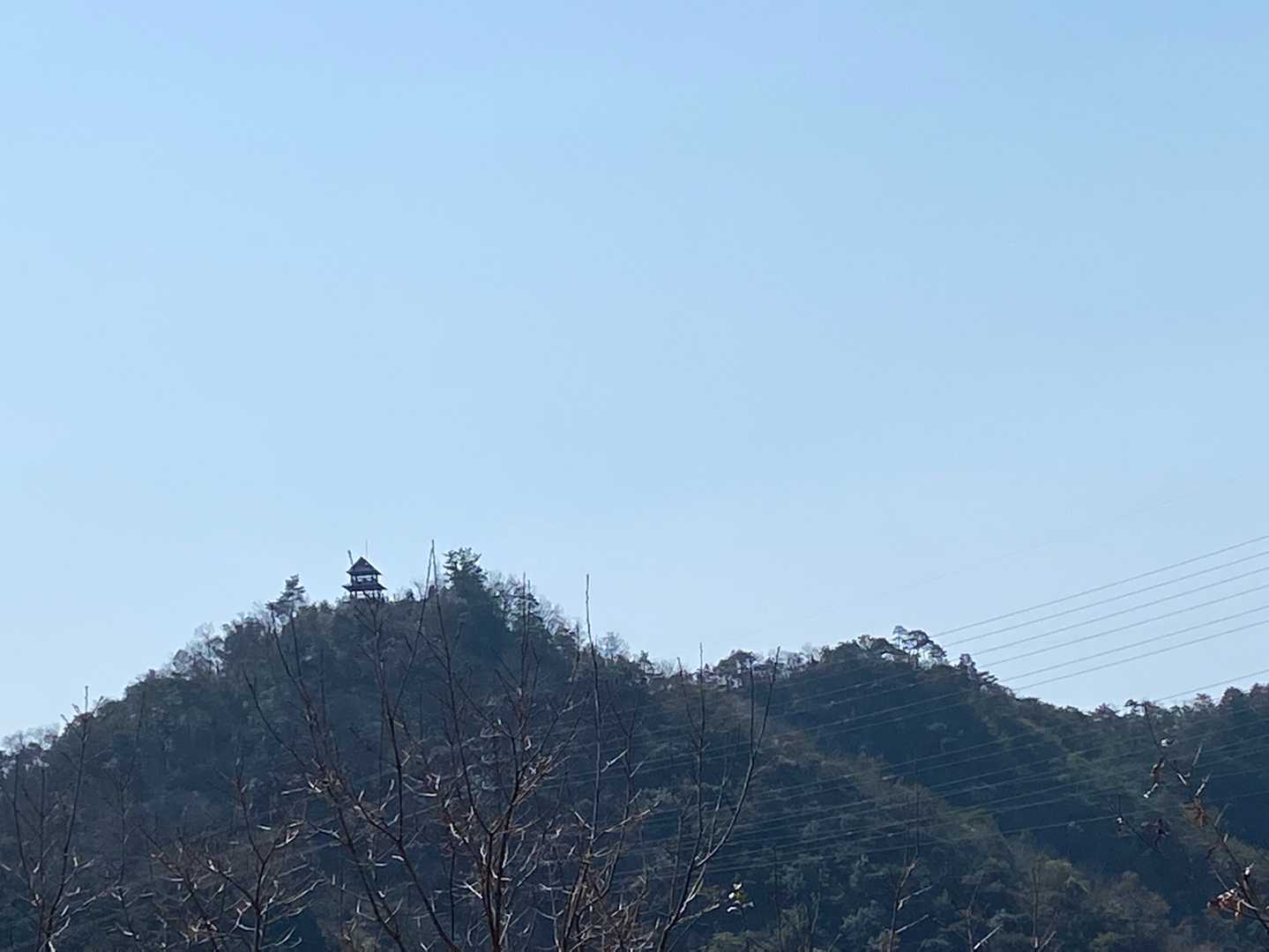 猿啄城展望台登山道入口-城山-金毘羅山 周回コースの写真