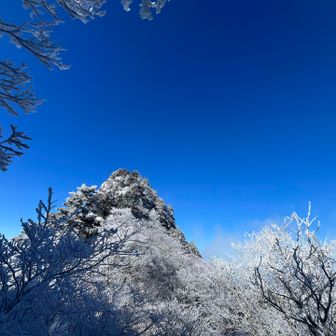 🏔️大日山　トレースがあったので寄り道することに🎵