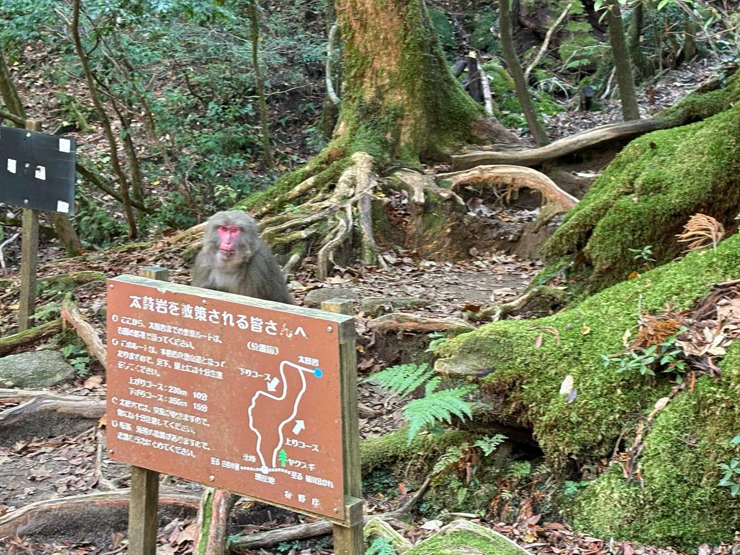 こっちにも