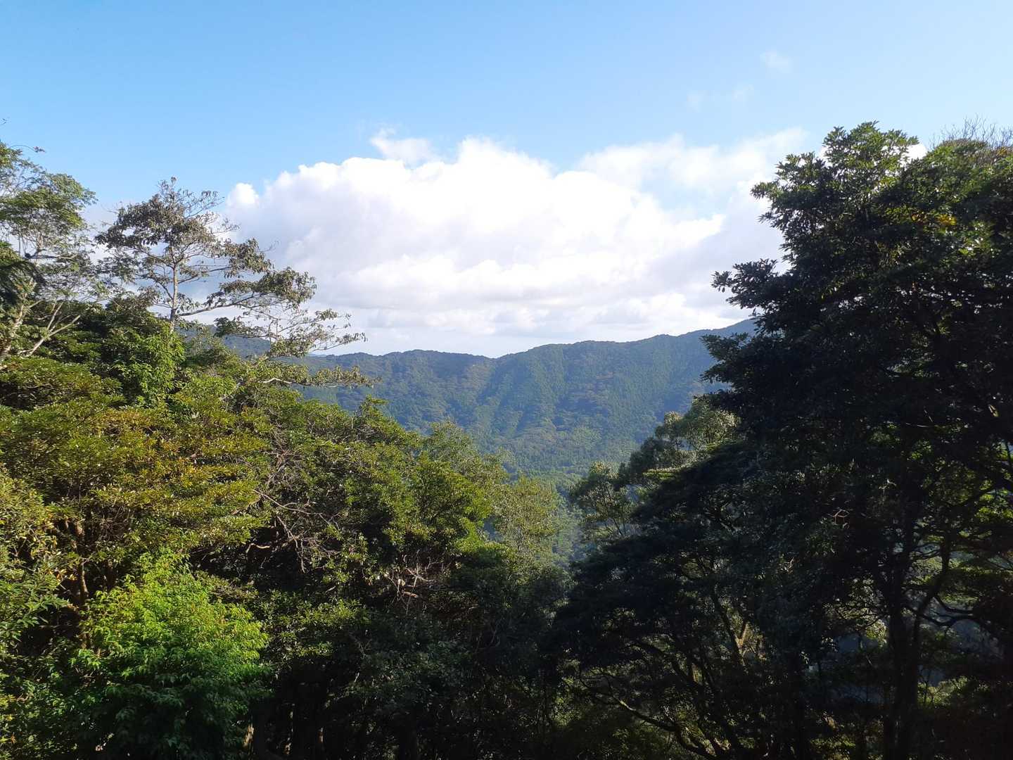 小富士山-飯岳山-呉ダム登山口 縦走コースの写真