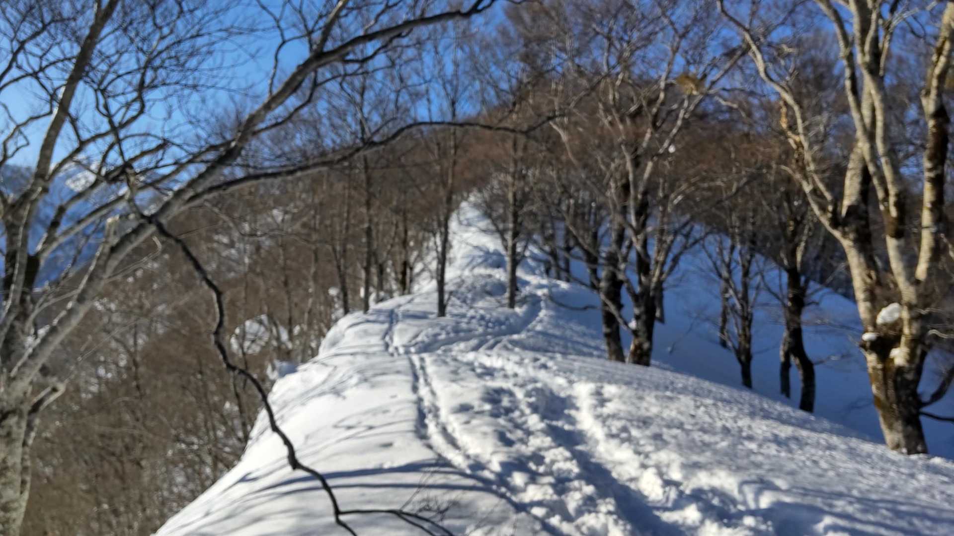 栃谷登山口-片折岳-奥金剛堂山 往復コースの写真