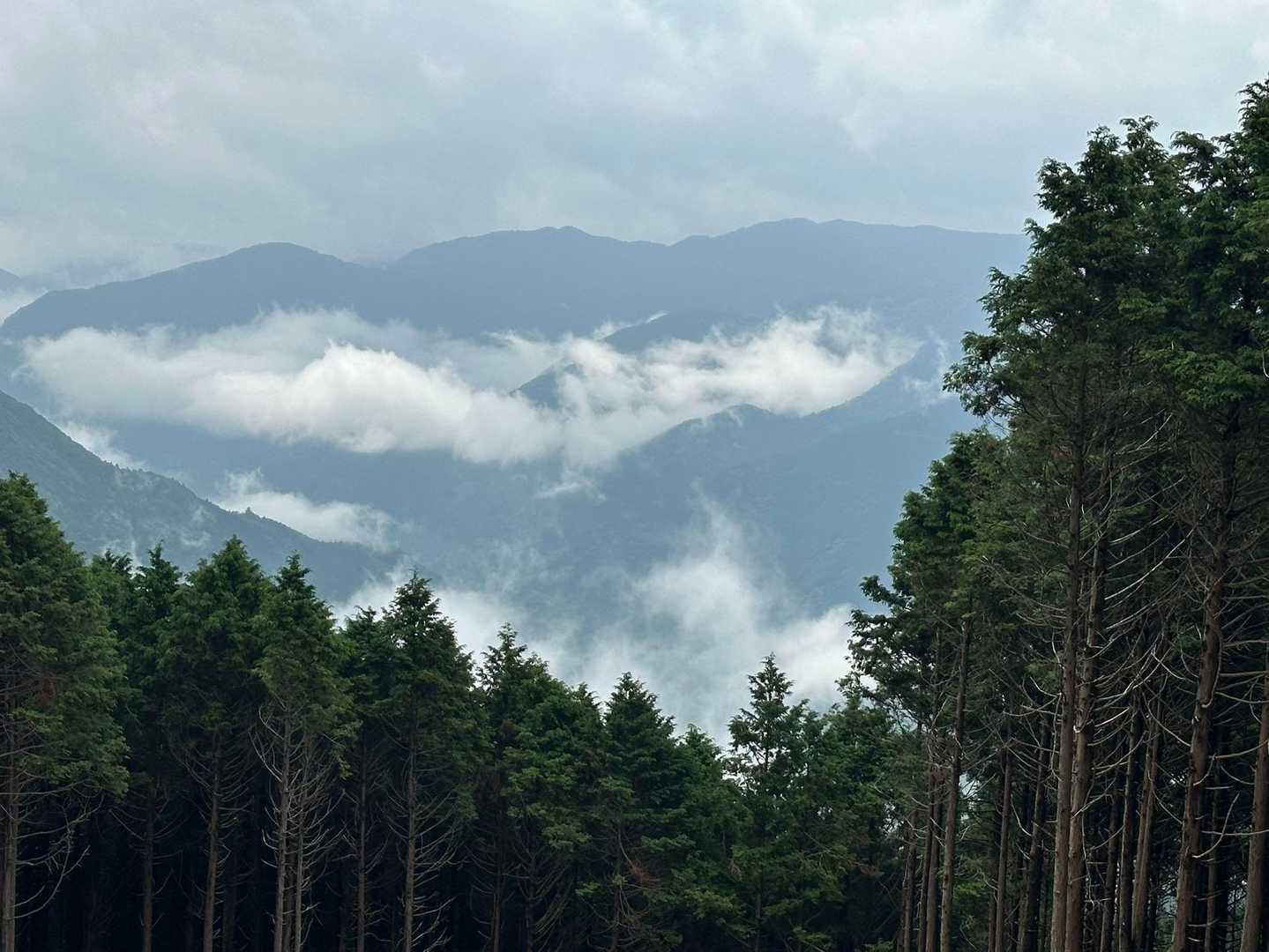 雨が上がっているのか、雲が切れていきます。