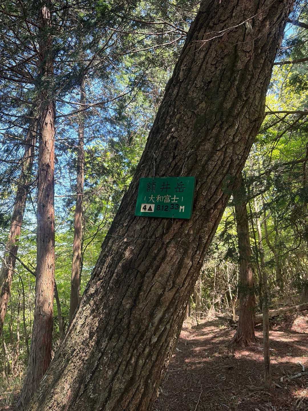 登頂⛰️