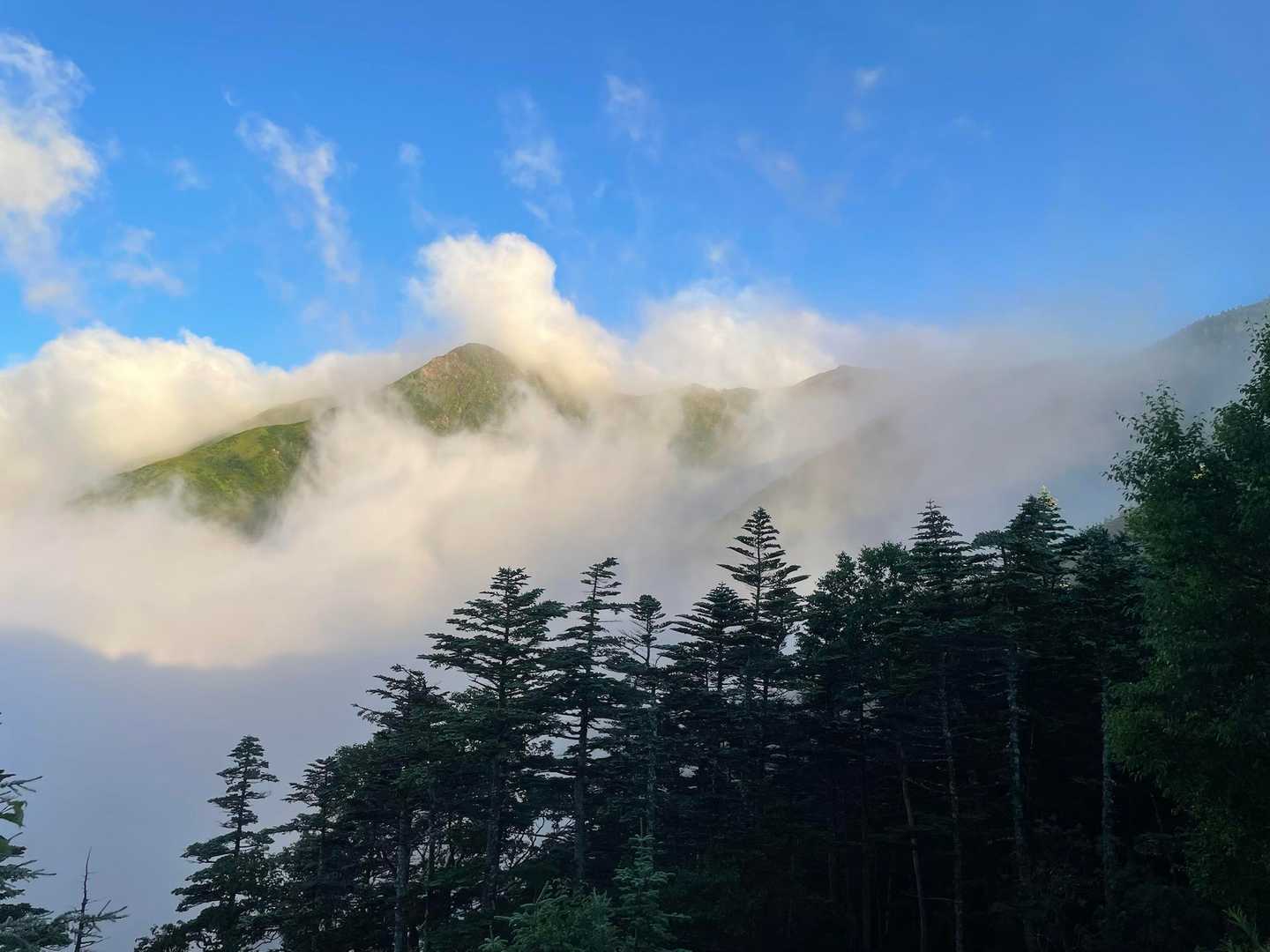 大聖寺平-小赤石岳の肩-小赤石岳-赤石岳-富士見平 縦走コースの写真