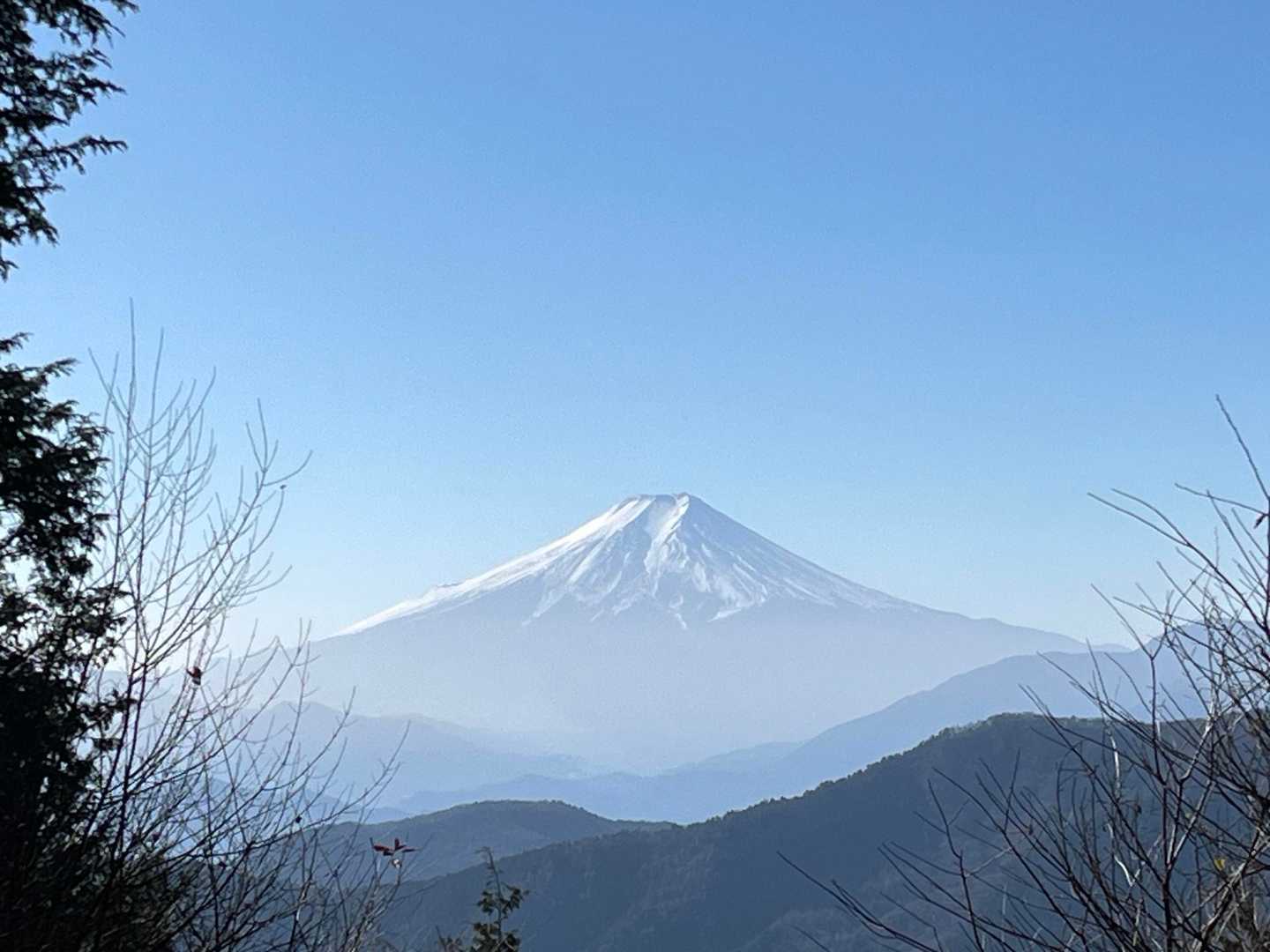 綺麗ですね✨