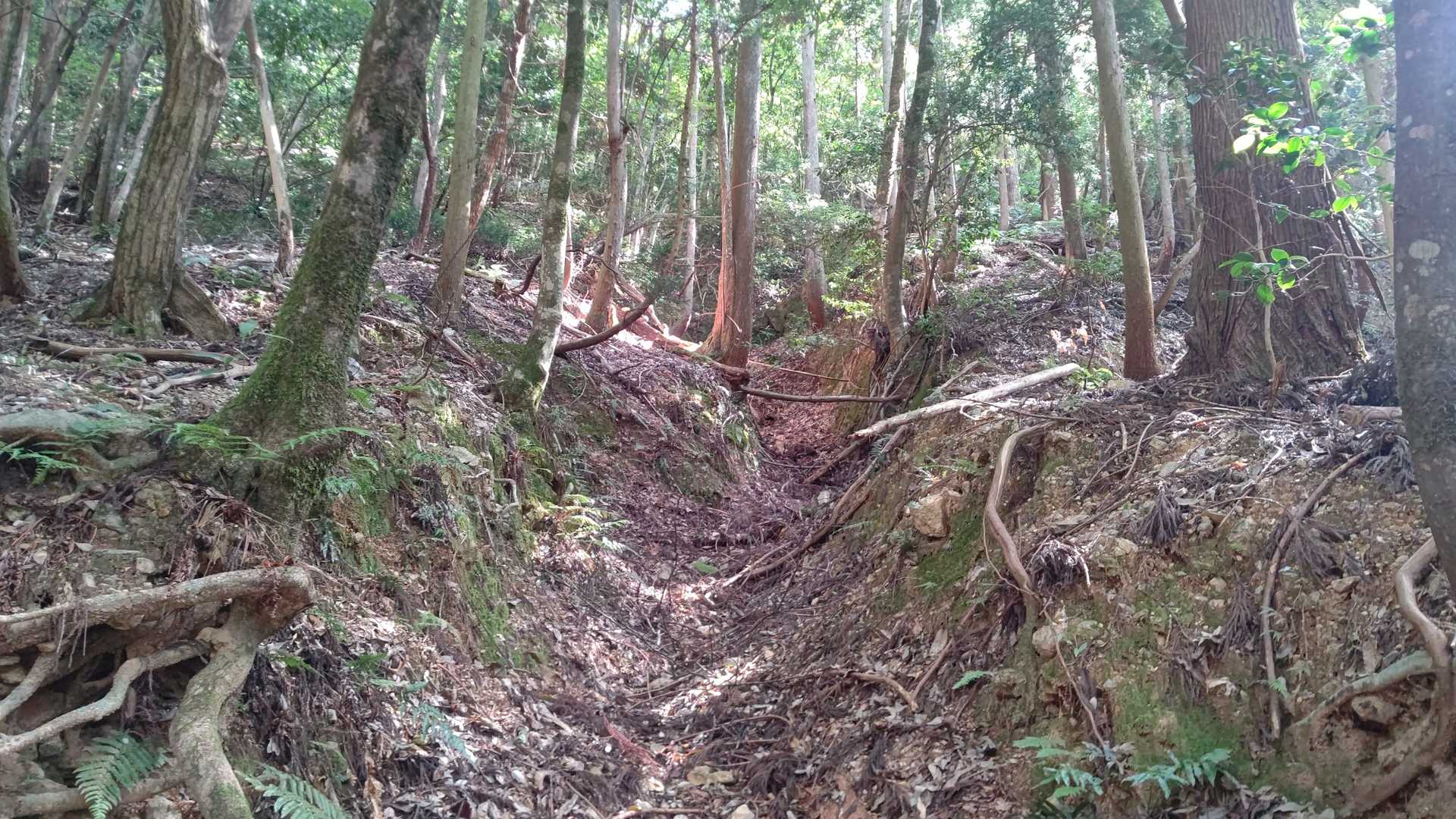 帰りは、清水谷。
こちらは竪堀