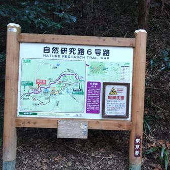 今度は､6号路で
登ろうかな🤔