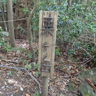 2度目の山頂到着