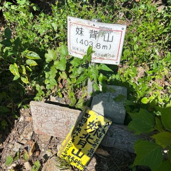 三角点