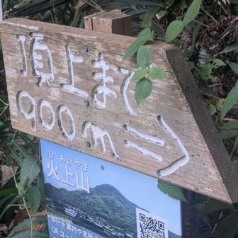 やっとこさゴール😆
この後、バスが待つ下道をひたすら下ります