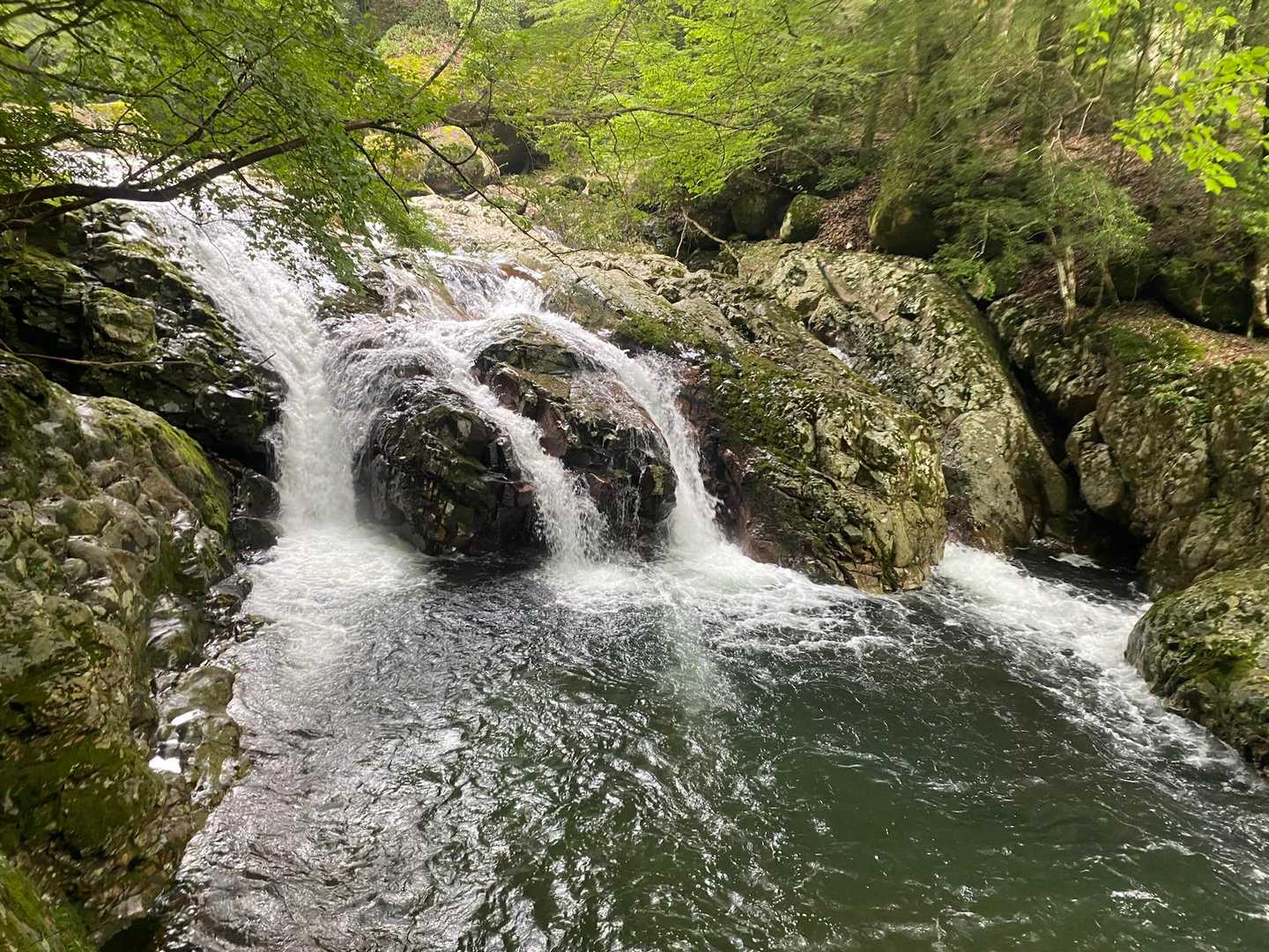 水量多いんでは！？