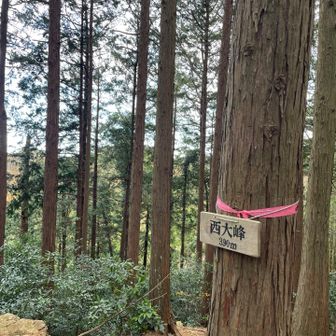 飯百ではありません。