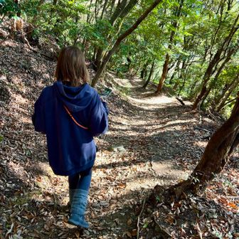 【66→64→66→67→69→68→70】
毎週のように登っているから、食べ過ぎたとて大丈夫だと高を括っていると、とんでもない数値を記録する。

ずっと60後半を維持してたのに、はじめての「70kg」表示を見て壊れたのかと思ったw
低山ではカロリーを消費しないので油断は禁物だ👏respect