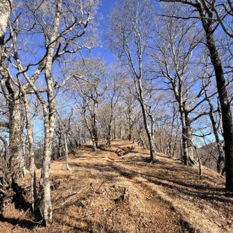 石棚山稜は心地よい！