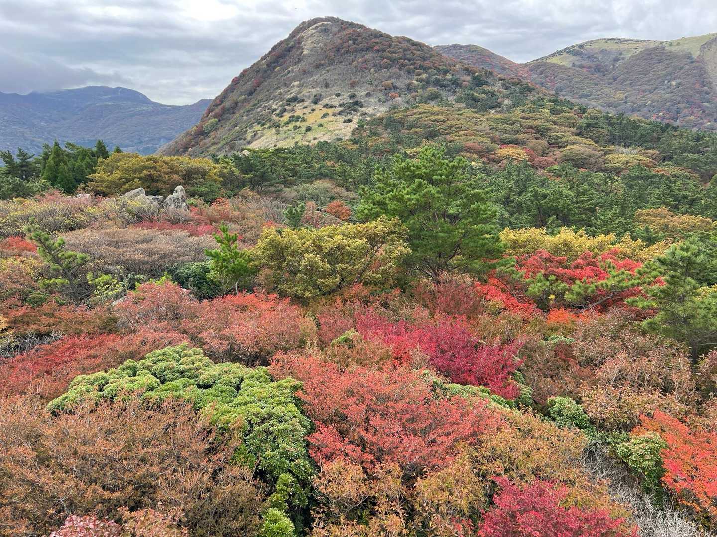 牧ノ戸峠-黒岩山-上泉水山-泉水山 縦走コースの写真