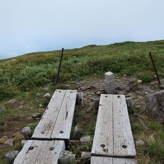 姥ヶ岳の三角点