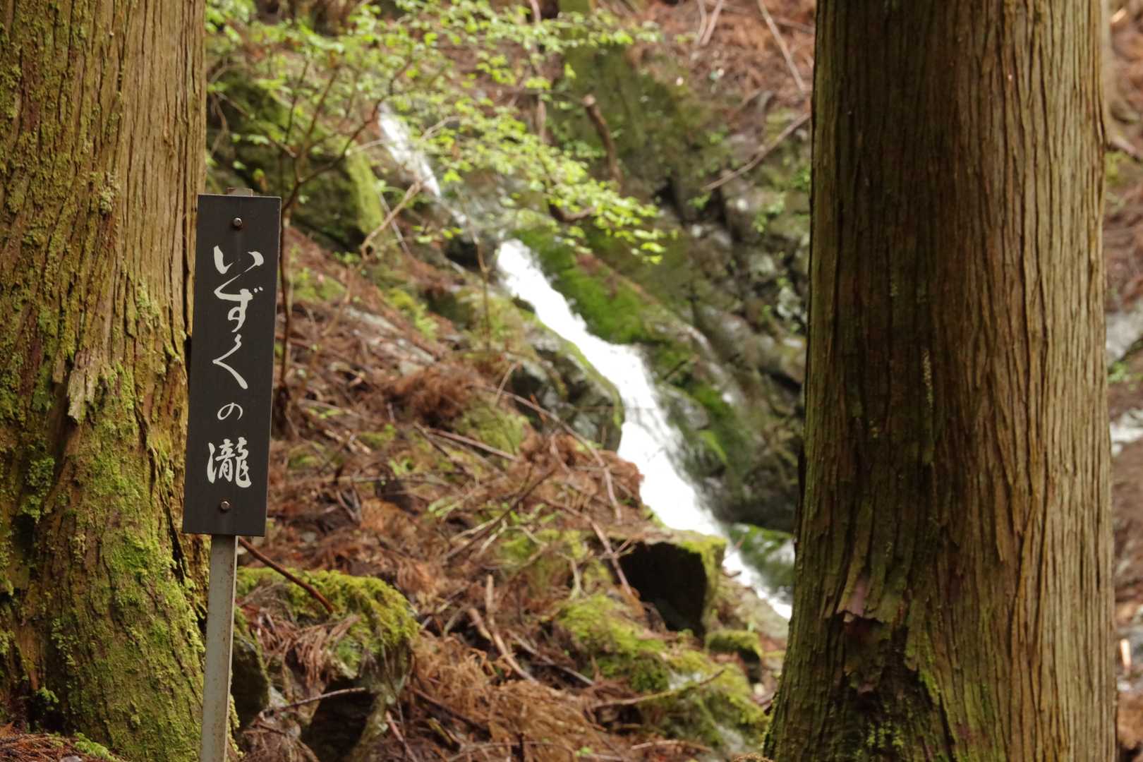 滝もありますね