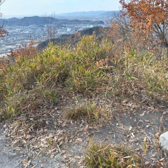 桶居山頂上です
眼下に姫路市街 が見えます