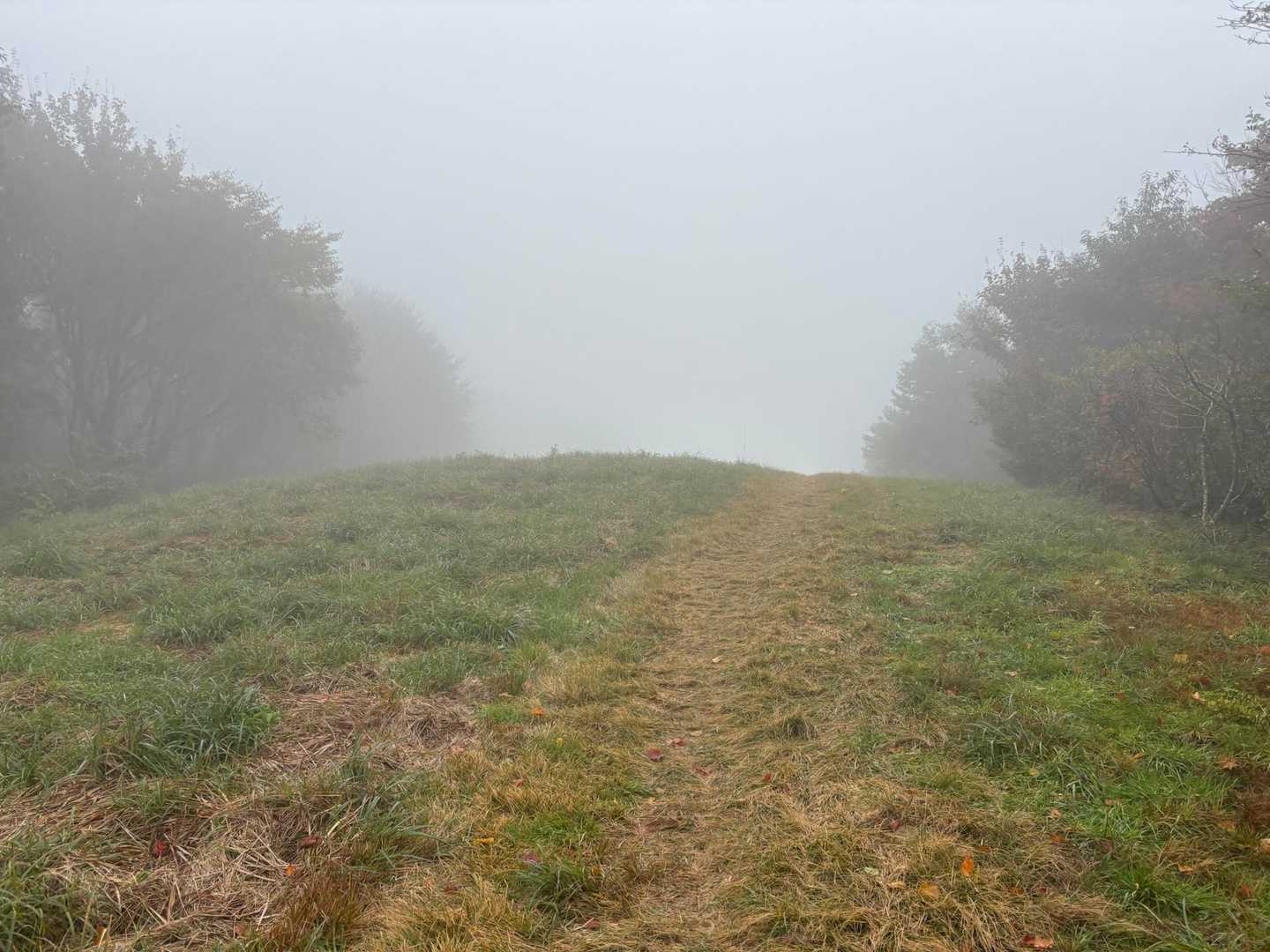 吾妻山 往復コースの写真