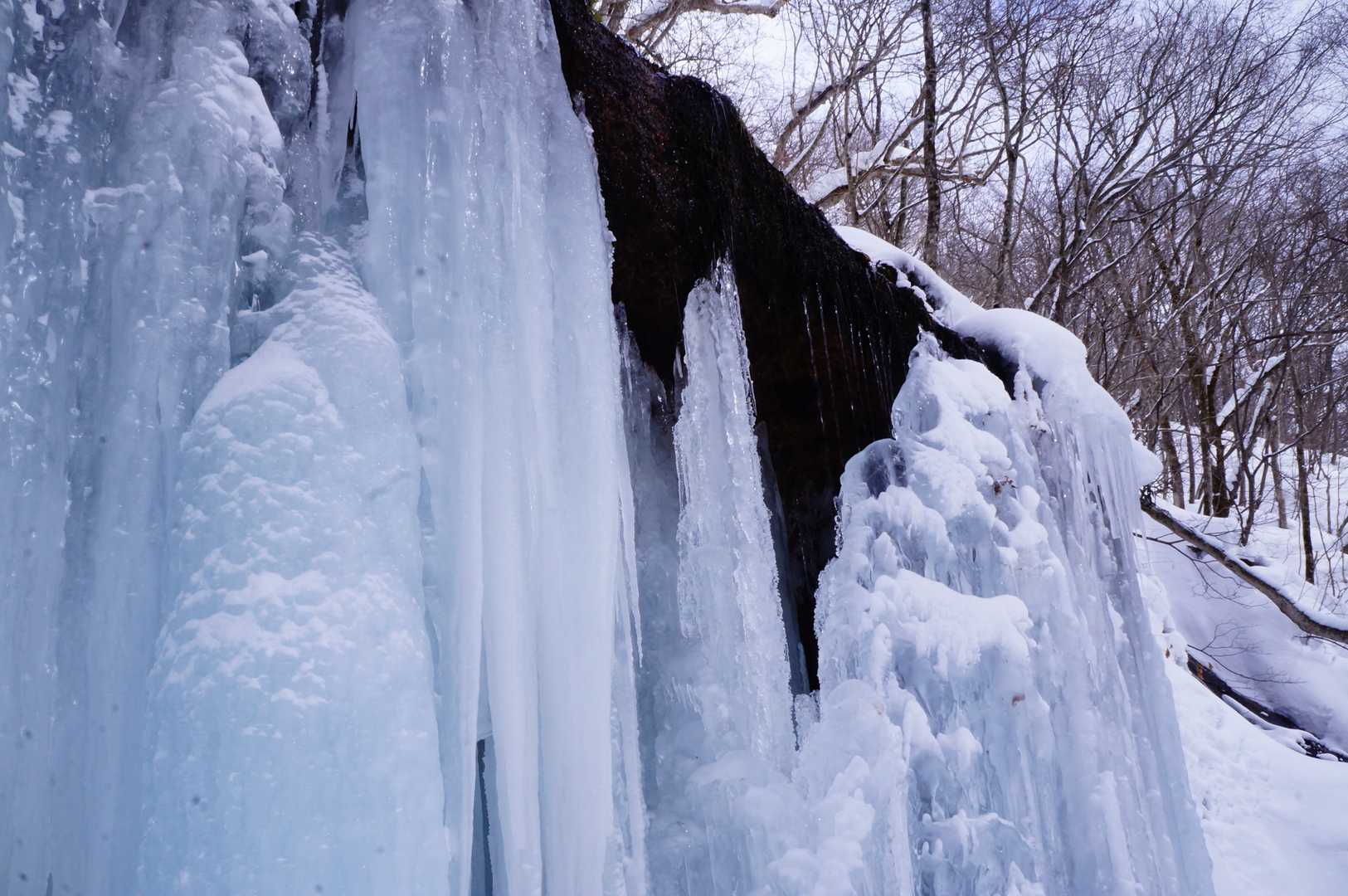 上の黒い土の部分から水がしたたっています💧