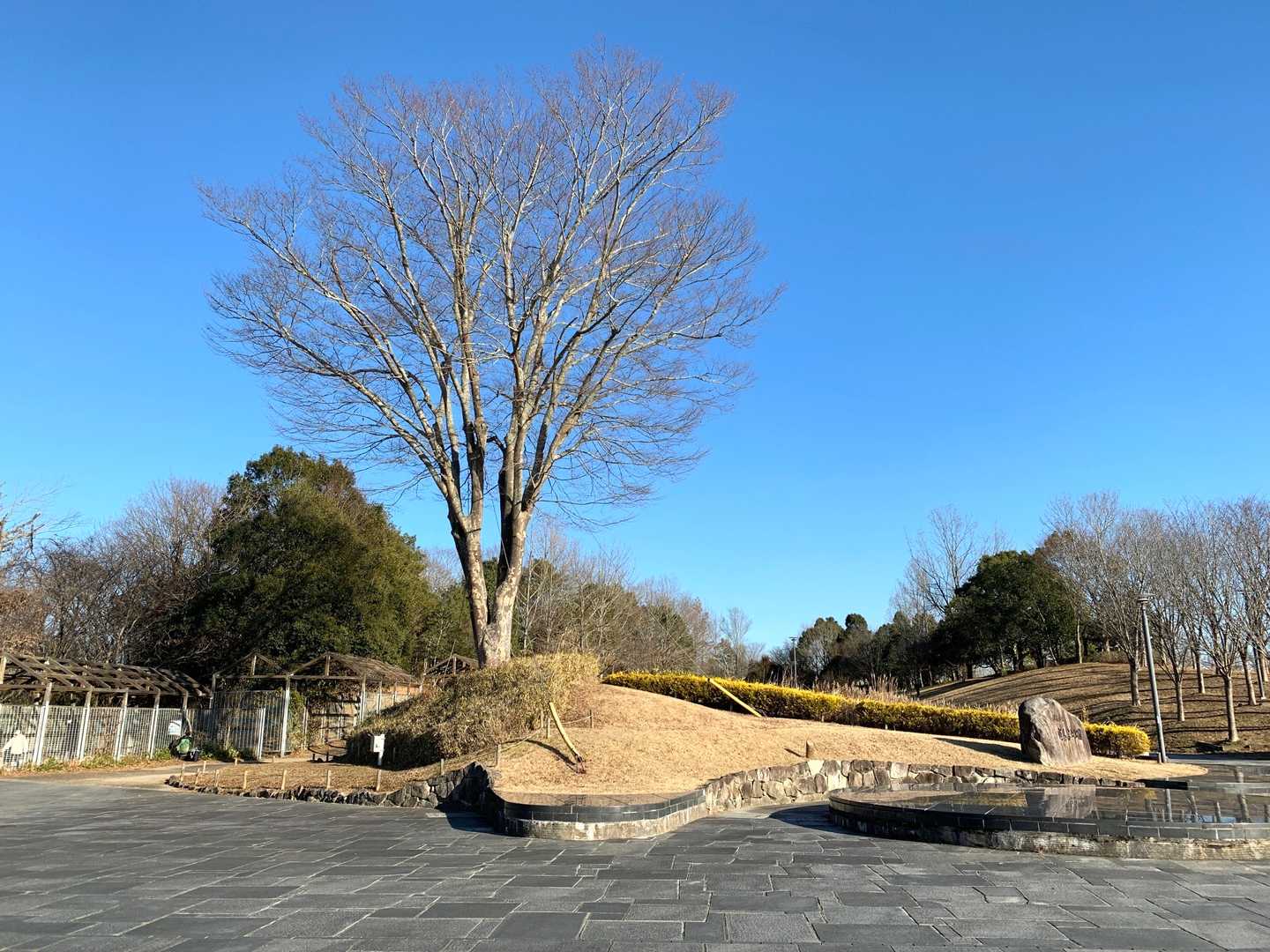 一日中素晴らしい天気☀️
今日のミッション完了だね、keiちゃん‼︎
便乗させて貰い私も充分山登りを堪能できました。
ありがとう💗