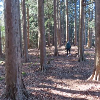 もちっと進むと