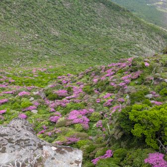 正規ルートから見えた北峰の斜面。