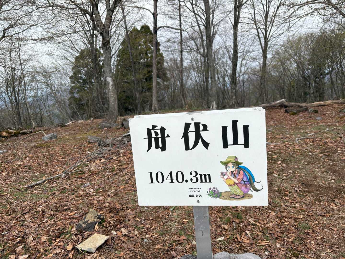 山頂に戻る。