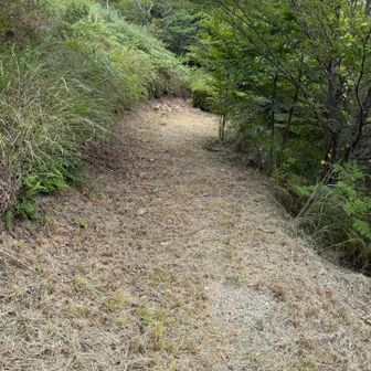 綺麗に刈ってある道を下る
さすがにお腹が空いてきた😅