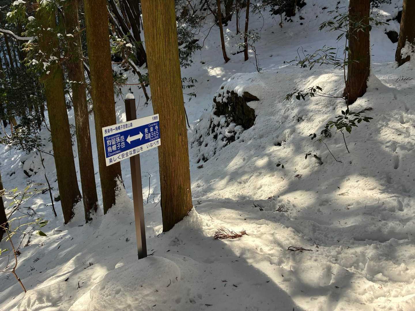 元観音迄戻ってきました