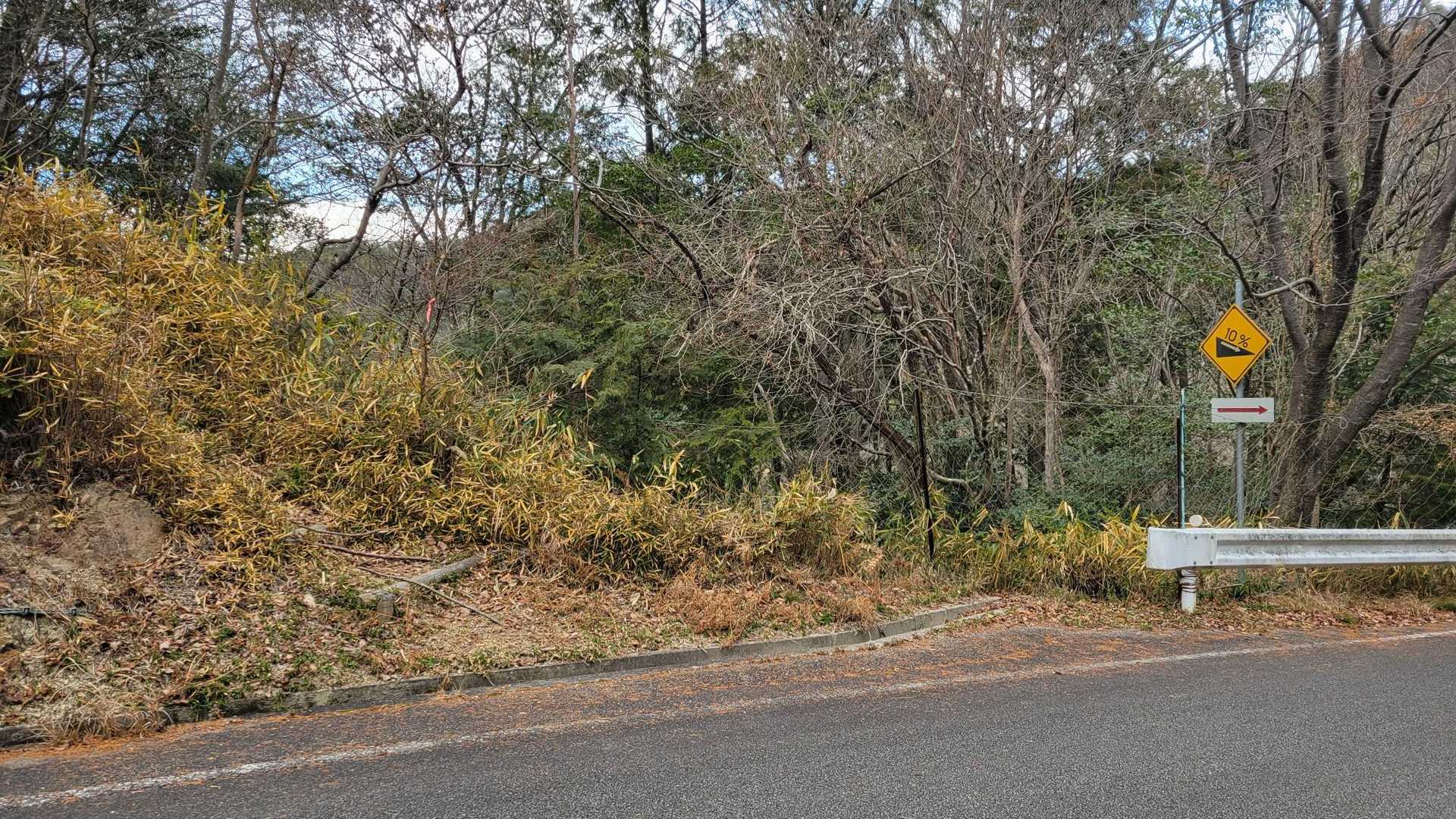 峠から数十メートル行くと
また登山口があります。