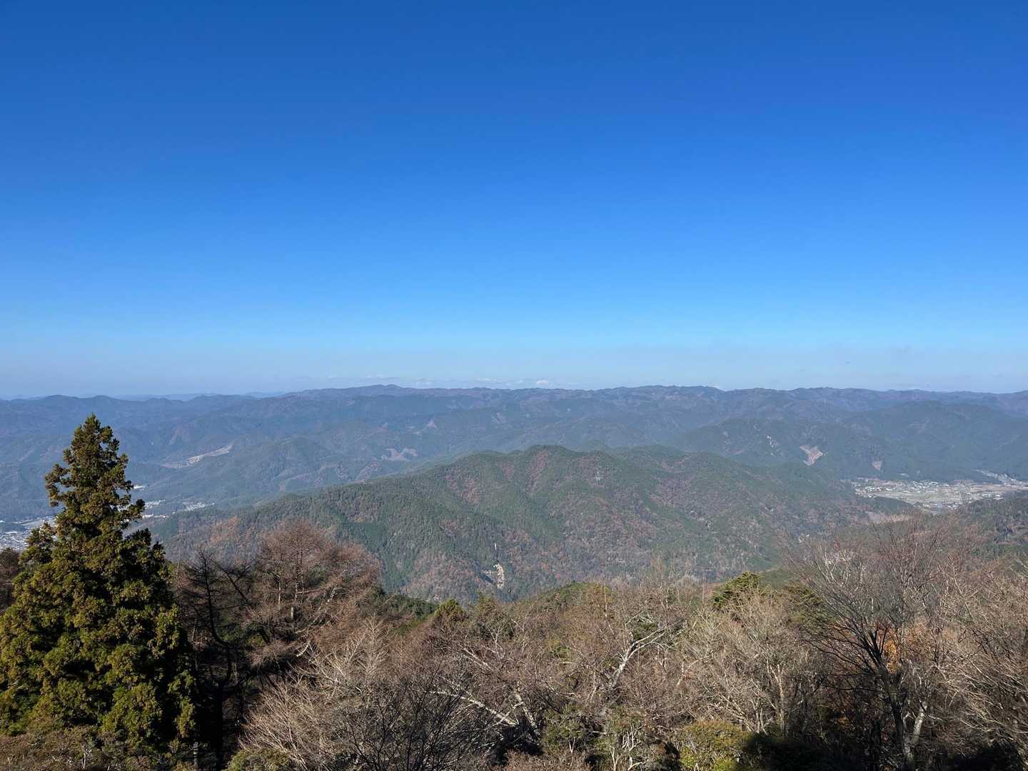 展望台から📸