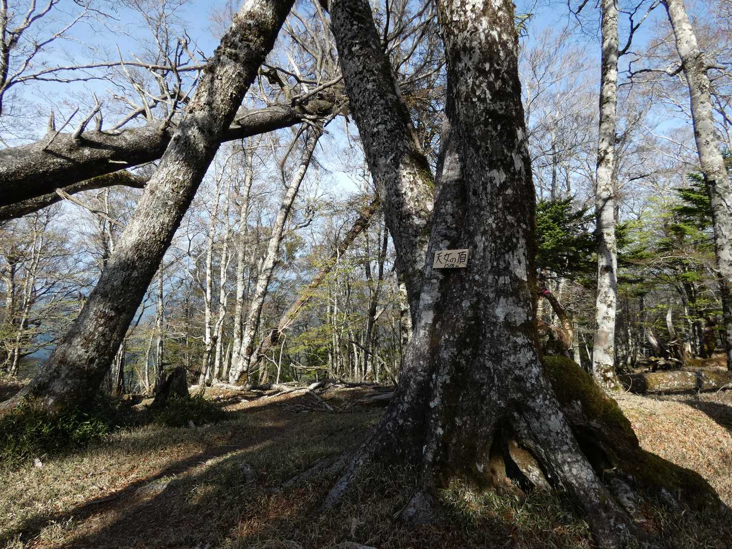 天女の頂へも着きました😙。