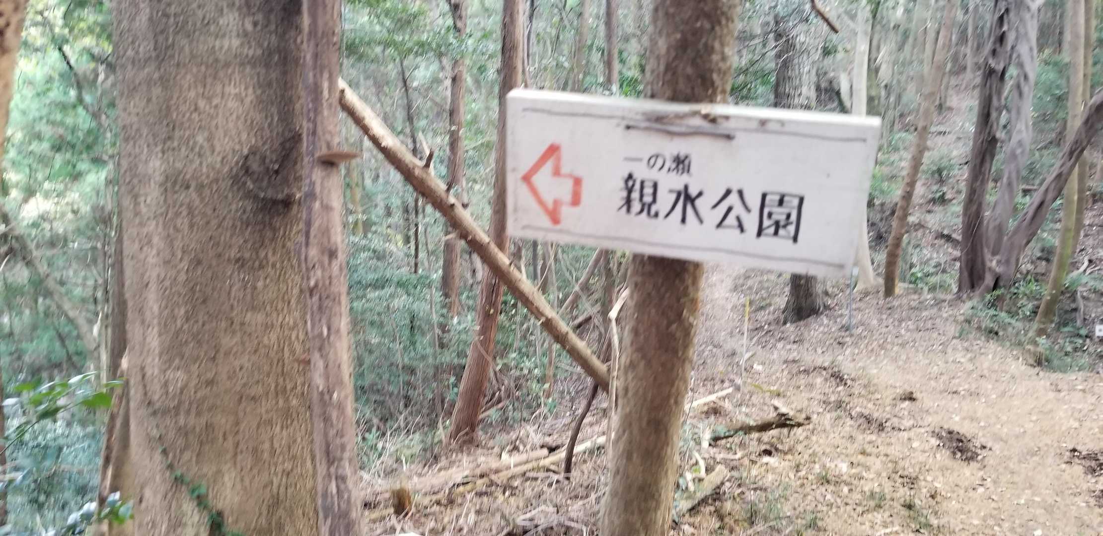 下りで左へ　もー少し先に進むと銀杏の所に行く看板があったらしい😱