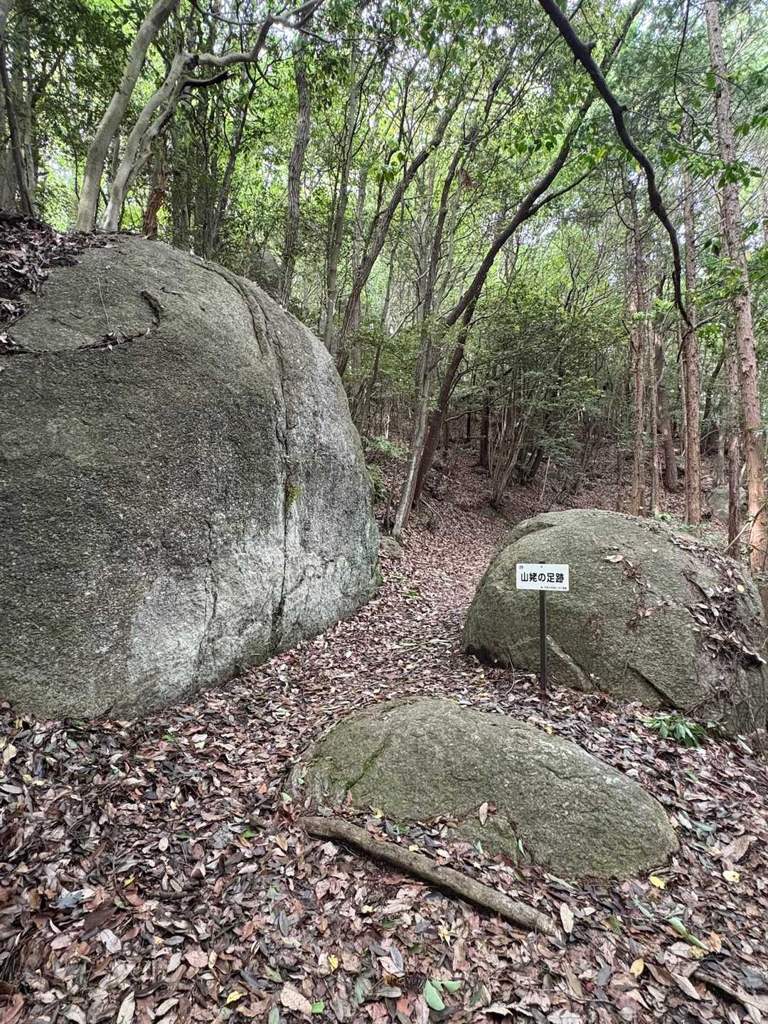 山姥の足跡👣
どれが足跡かわかりません